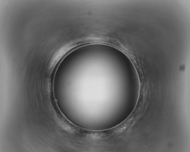 X0000089340103200706221126