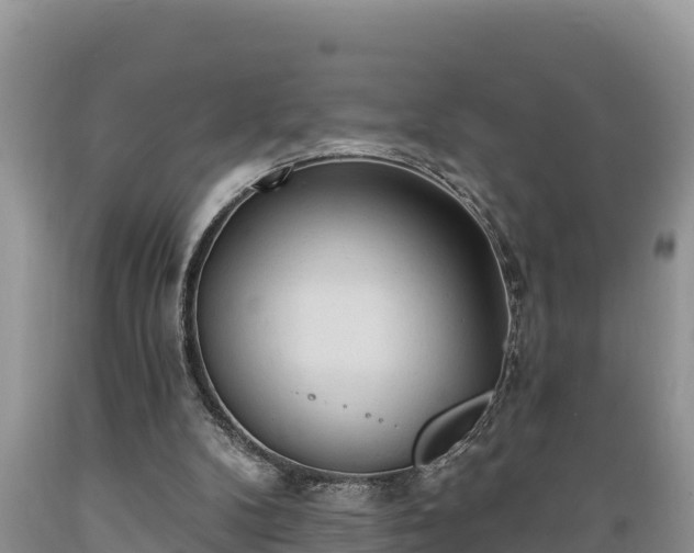 X0000089340104200706221126