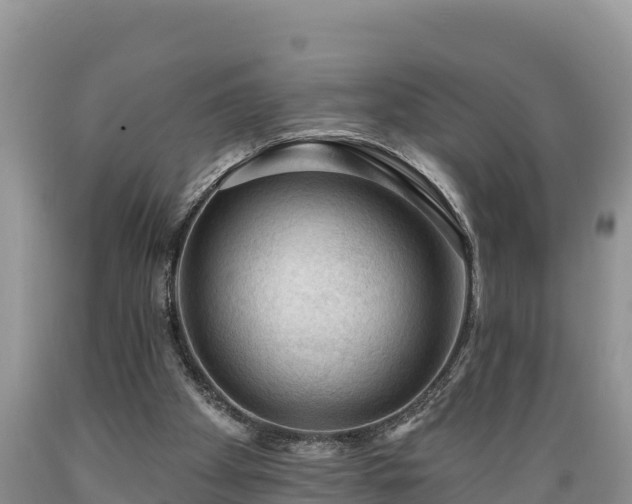 X0000089340105200706221126