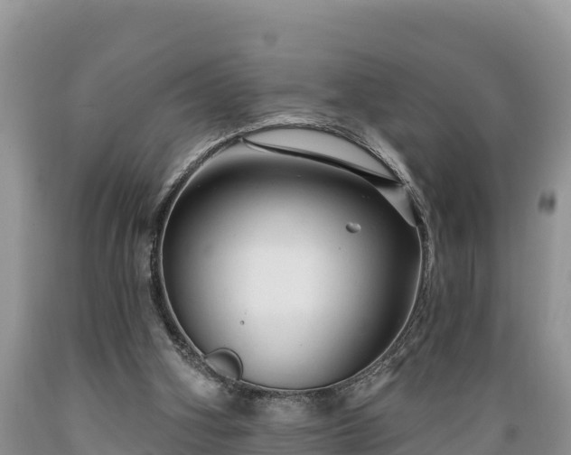 X0000089340106200706221126