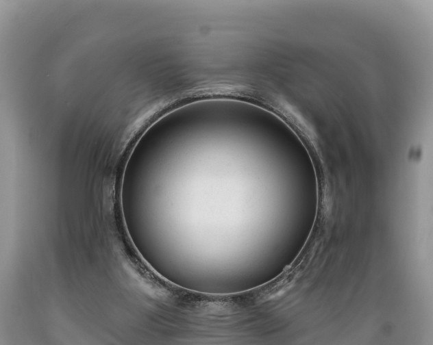 X0000089340107200706221126
