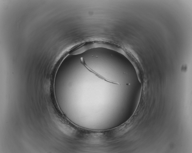 X0000089340108200706221126