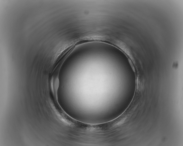 X0000089340109200706221126