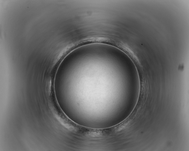 X0000089340110200706221126
