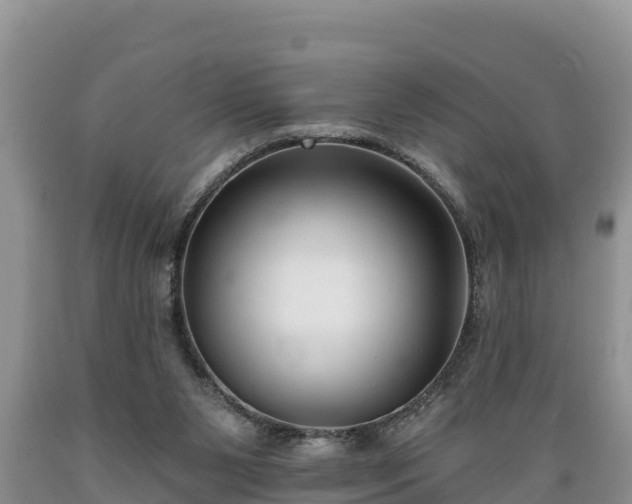 X0000089340111200706221126