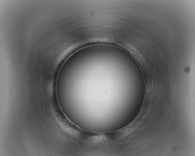 X0000089340112200706221126