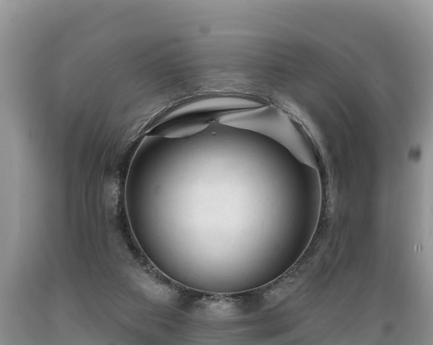 X0000089340113200706221126