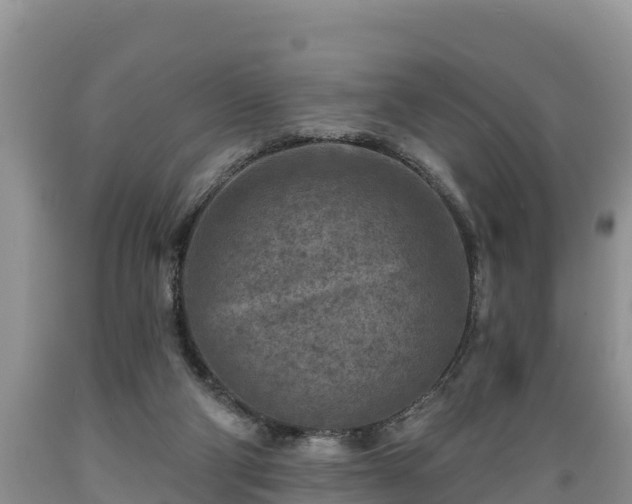 X0000089340114200706221126