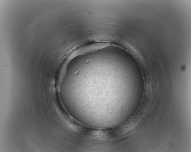 X0000089340117200706221125