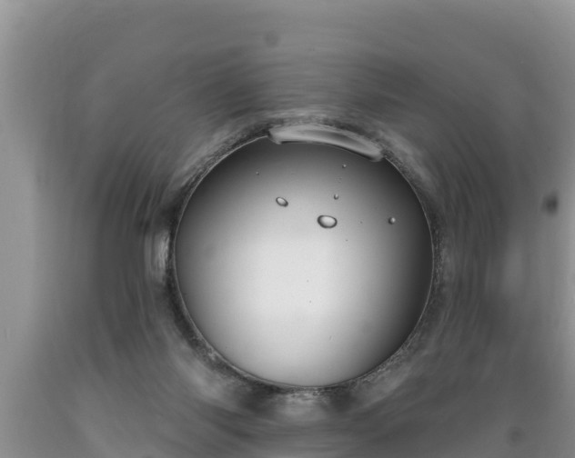 X0000089340118200706221125