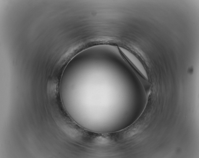 X0000089340119200706221125