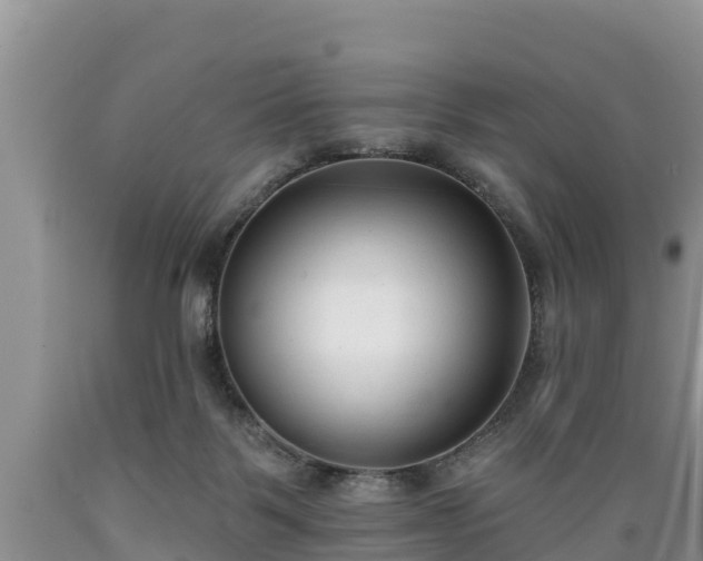 X0000089340123200706221125