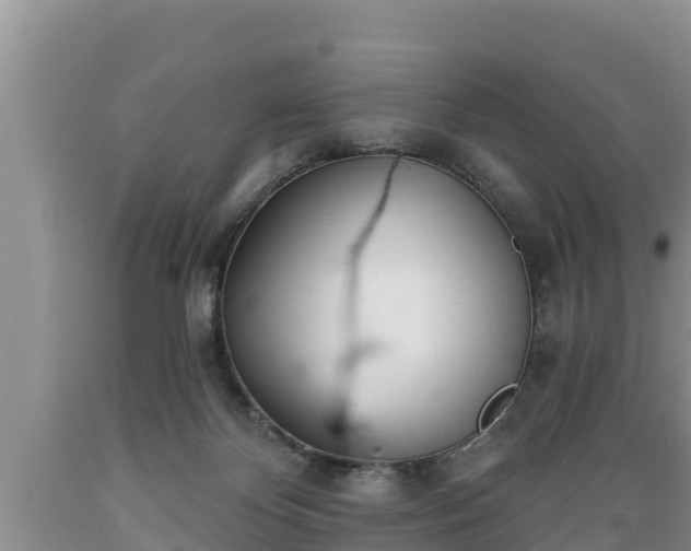 X0000089340124200706221125