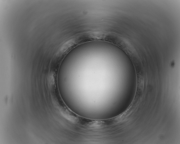 X0000089340128200706221125