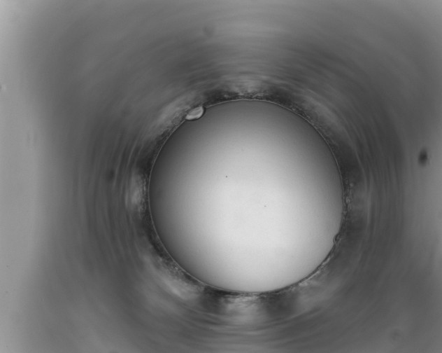 X0000089340132200706221125