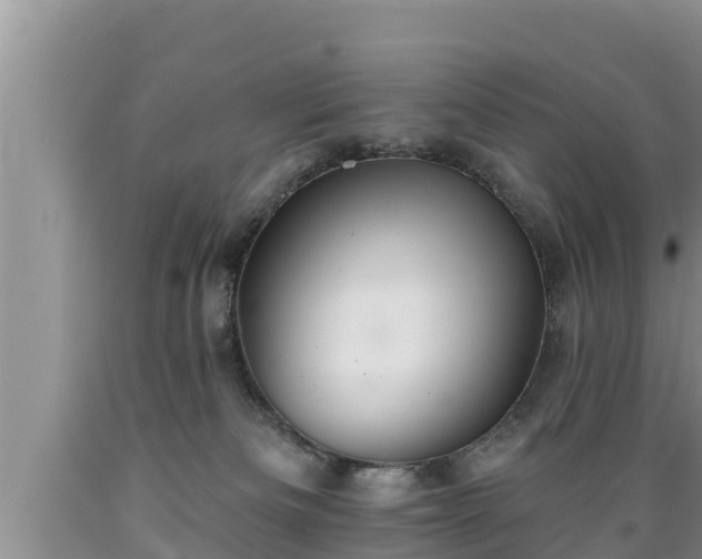 X0000089340133200706221125