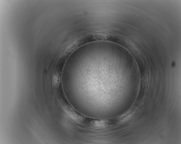 X0000089340134200706221125