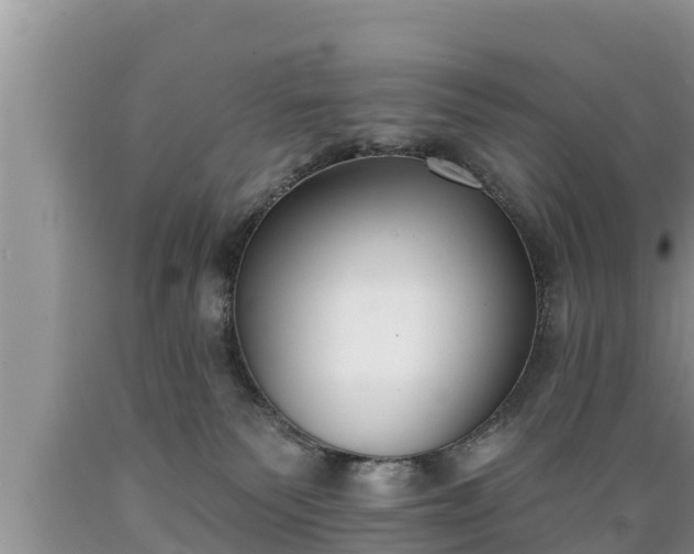 X0000089340135200706221125