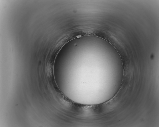 X0000089340136200706221125