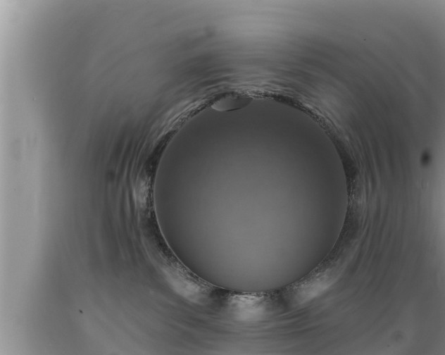 X0000089340139200706221125