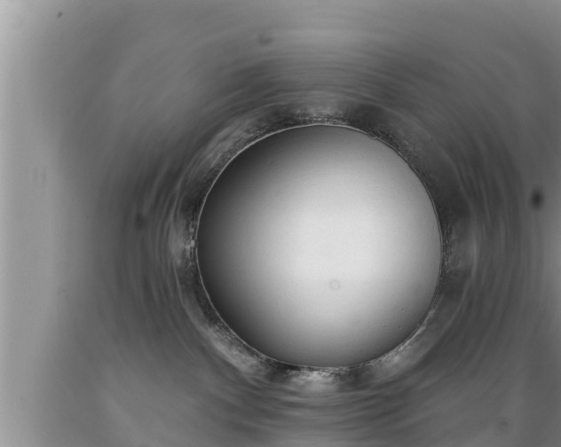 X0000089340140200706221125