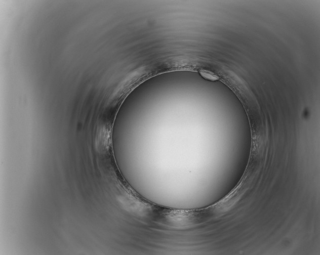 X0000089340142200706221125