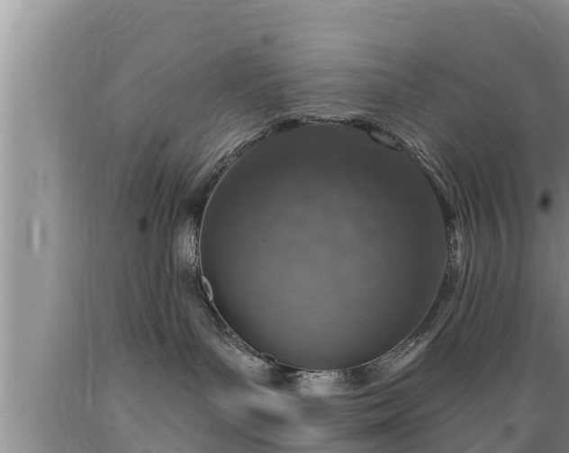 X0000089340143200706221125