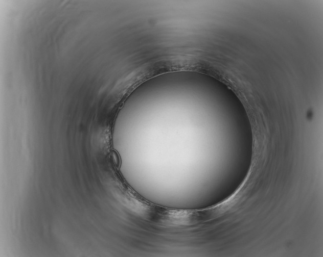 X0000089340144200706221125