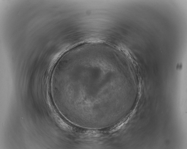 X0000089340145200706221124