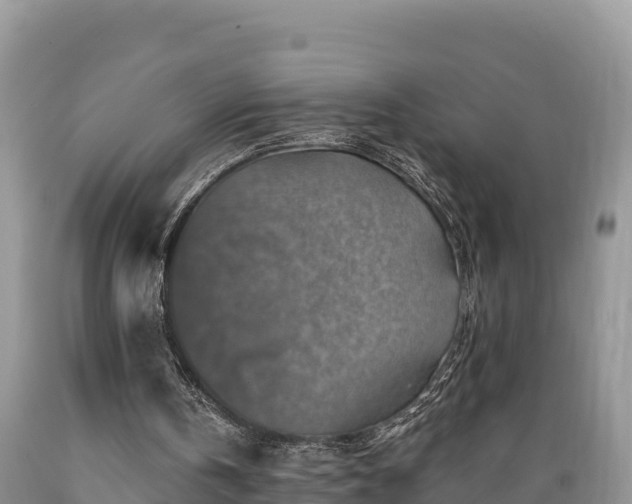 X0000089340146200706221124