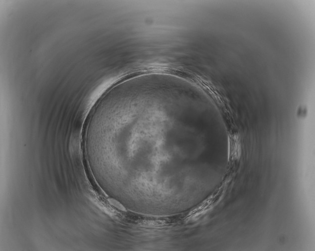 X0000089340147200706221124