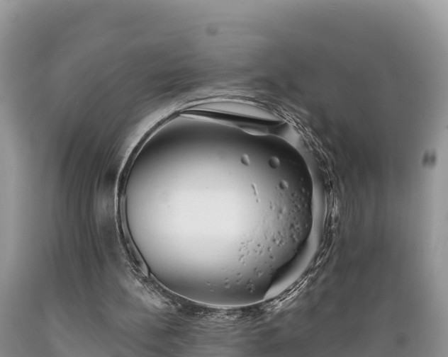 X0000089340148200706221124