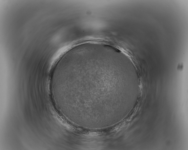 X0000089340149200706221124