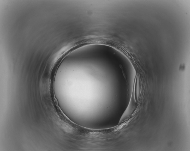 X0000089340150200706221124