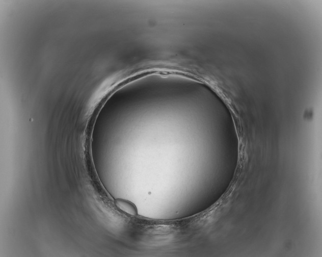 X0000089340151200706221124