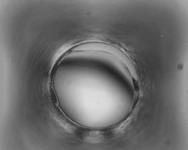 X0000089340152200706221124