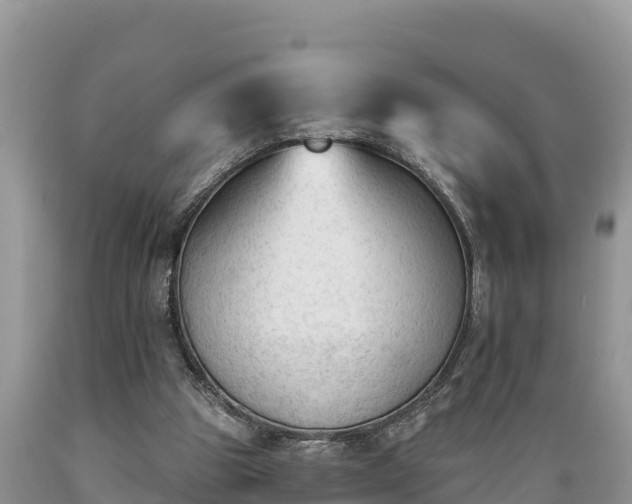 X0000089340153200706221124