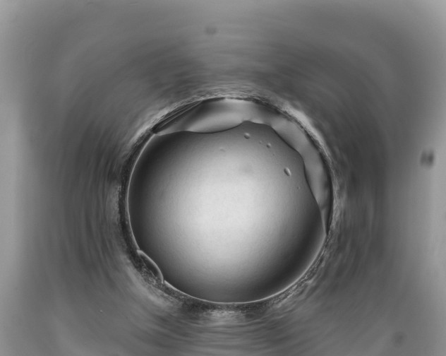 X0000089340154200706221125