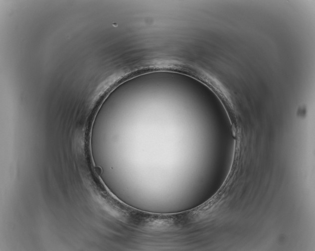 X0000089340155200706221125