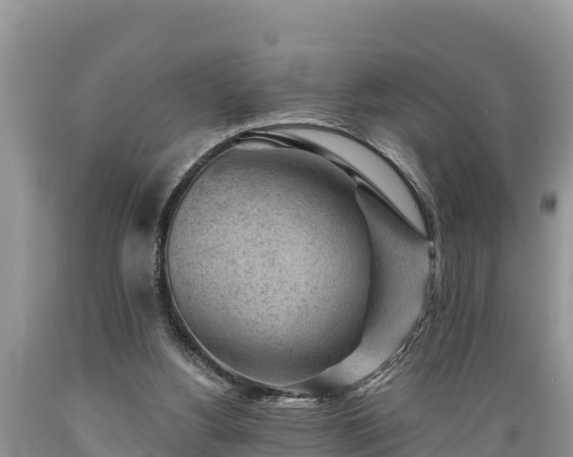X0000089340156200706221125