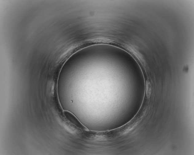 X0000089340157200706221125