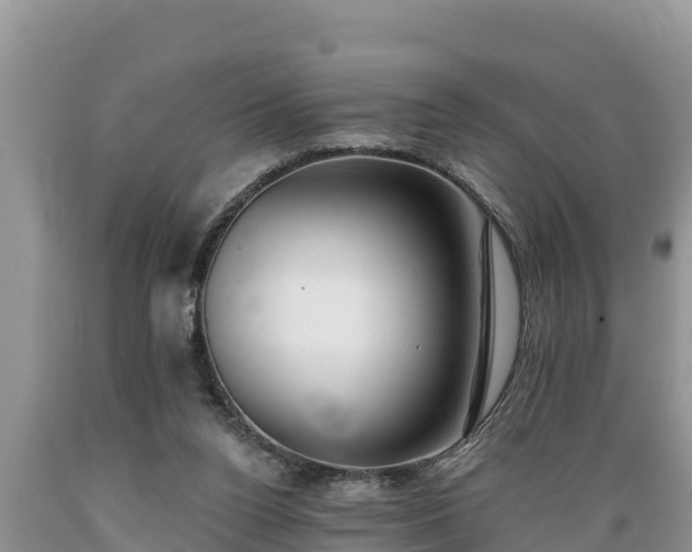 X0000089340160200706221125