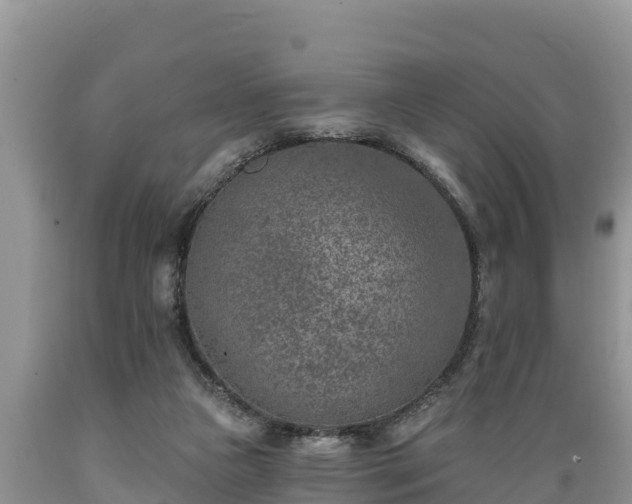 X0000089340161200706221125