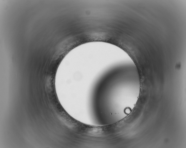 X0000089340162200706221125