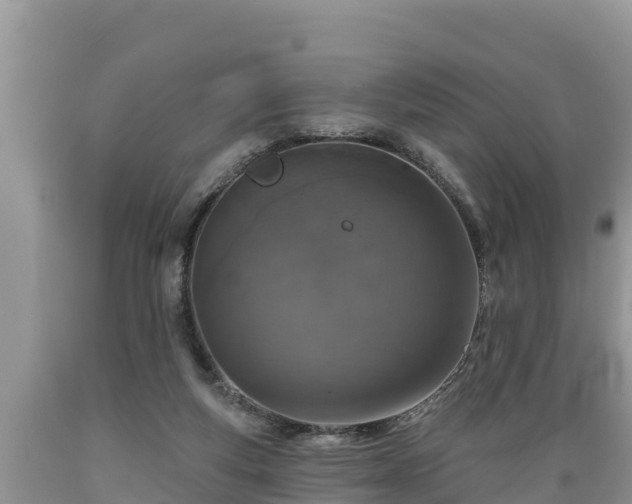 X0000089340163200706221125