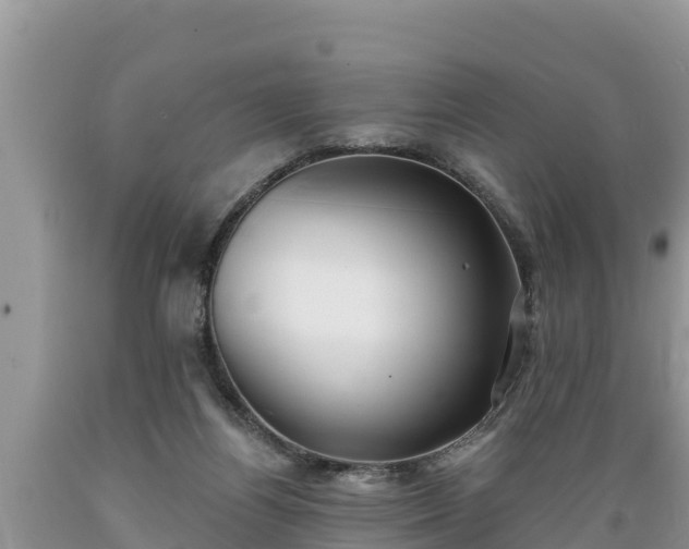 X0000089340164200706221125