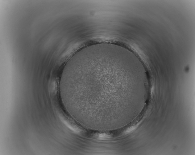 X0000089340165200706221125