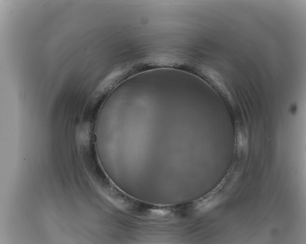 X0000089340167200706221125