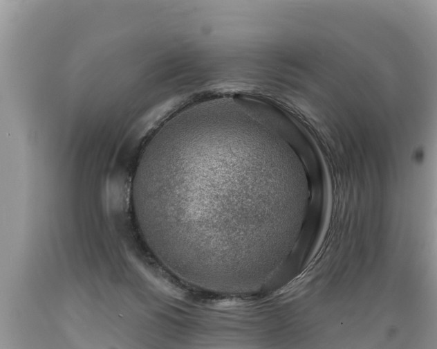 X0000089340168200706221125