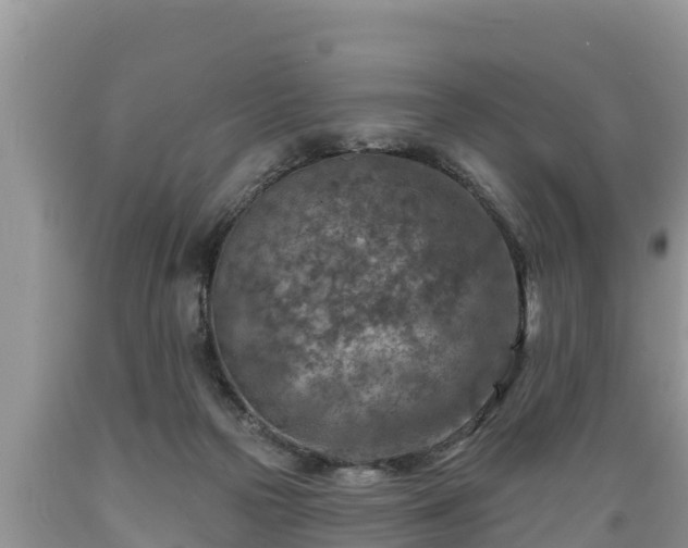 X0000089340169200706221125